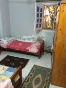 إسكندرية العجمى إسكندرية العجمى