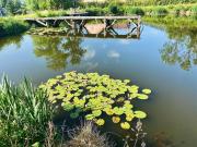 Top Ponikwa Top Ponikwa