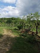 Top Figline Valdarno