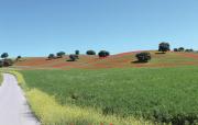 Top Montefrío