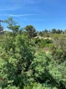 LES GABIANS - Appartement T2 - TIKI PLAGE - Saint Raphaël