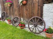 Top Konradów Top Konradów