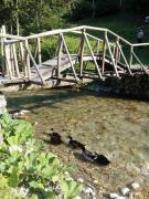 Апартман Снежана