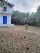 Top Edipsos Top Edipsos