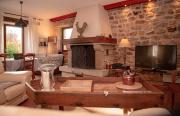 Top Termes