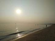 Top Vasto