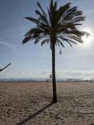 Top Playa de Gandia