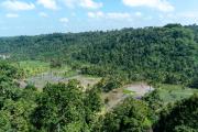 Top Banyuwangi