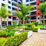 the perfect lavish apartments