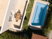 Top Sfakaki Top Sfakaki