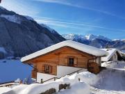 Top Wald im Pinzgau