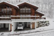 Top Wald im Pinzgau