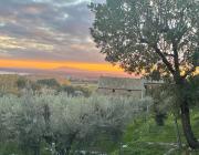 Top Tuoro sul Trasimeno