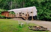 Top Fernwood