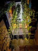 Top Cartagena de Indias