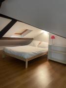 Appartement Grand Volume Sis à Montrouge proche Pte Versailles