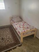 Dessine-moi un Chameau Dessine-moi un Chameau