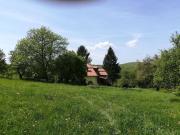Ferienhaus mit biologischem Schwimmteich Ferienhaus mit biologischem Schwimmteich