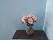 ร่มเย็น