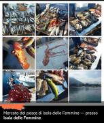 Top Isola delle Femmine