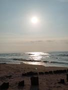 Top Rogowo Top Rogowo