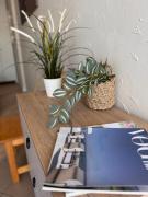 Top Krynica Morska Top Krynica Morska