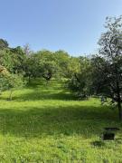 Beletage Johann Strauss