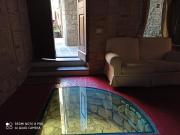 Top Todi