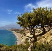 Top Kalamaki Heraklion