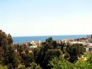 Top Viña del Mar