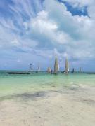 Tropical Beach Studios