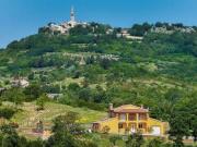Top Potpićan