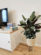 Causy Rooftop Apartment St. Idesbald Causy Rooftop Apartment St. Idesbald