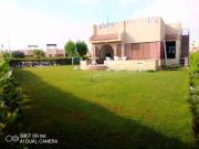 Summer Doors - Families Only