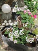 Studio avec cour extérieure aux portes de Paris