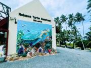 Shine Wave Turtle Beach