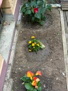 Pavillon 1 à 4 personnes chez l’habitant parfait pour une famille