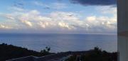 Top Pisciotta
