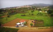 Top Avlonárion