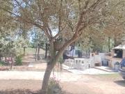 Top Capo Comino