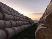 Top Martínkovice Top Martínkovice