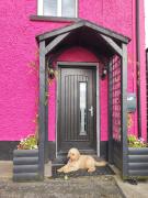 The little pink house