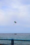 Top Alicante