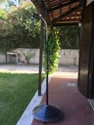 Il Pettirosso Il Pettirosso