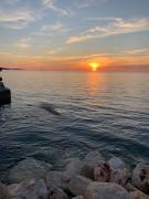 Holiday Home Ivko, only 300m from the Beach