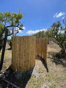 Top Tortolì Top Tortolì