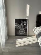 Karoliniškių apartamentai