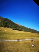 Top Münster Top Münster