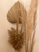 Top Saint-Jean-de-Barrou