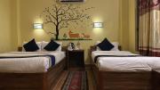 Top Sauraha